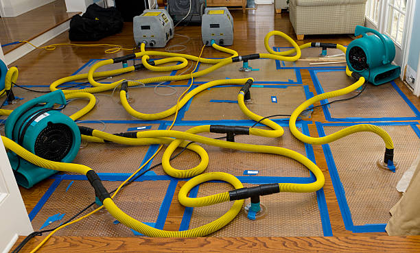 Professional Sewage Cleanup technician working in Uxbridge, MA